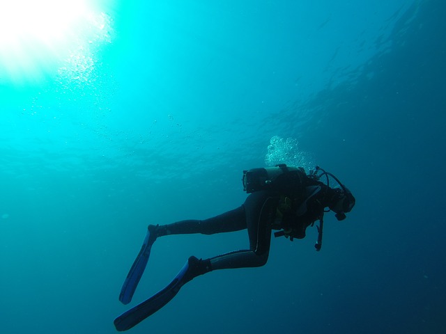 À quelle heure pour faire de la plongée de nuit en Guadeloupe ?