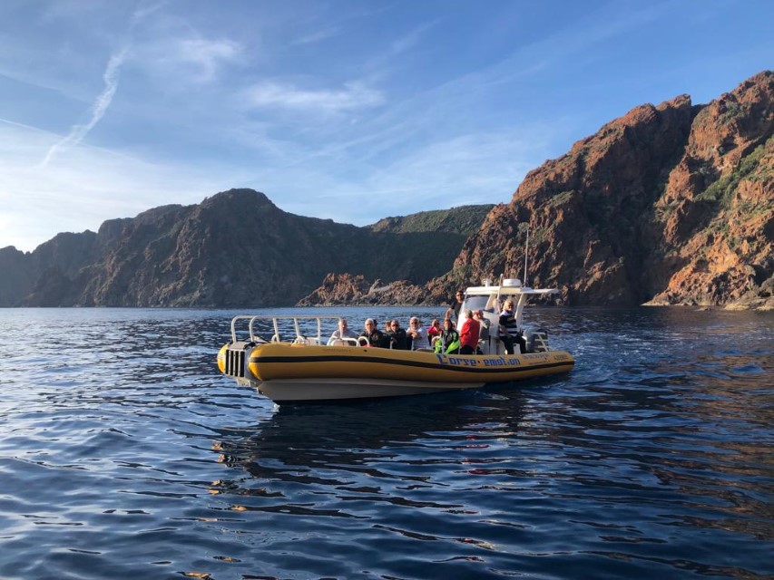 Excursion en Corse : Explorez la Faune et la Flore en Bateau